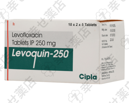レボクイン 500mg – 呼吸器や尿路感染に効く幅広い抗生物質